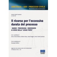Ricorso per l’eccessiva durata del processo