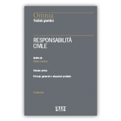 Responsabilità Civile