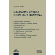 Separazione, divorzio e crisi della convivenza