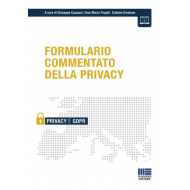 Formulario commentato della privacy