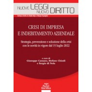 Crisi di impresa e indebitamento aziendale
