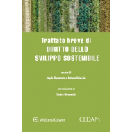 Trattato breve di diritto dello sviluppo sostenibile