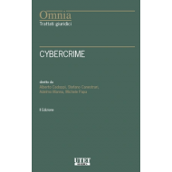 Cybercrime