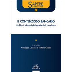 Il contenzioso bancario