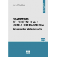 Dibattimento nel processo penale dopo la riforma Cartabia
