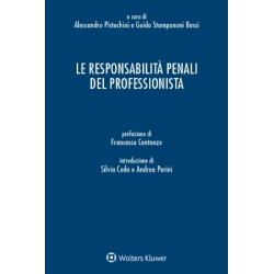 Le responsabilità penali del professionista