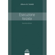 Esecuzione forzata