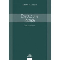 Esecuzione forzata
