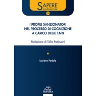 I profili sanzionatori nel processo di cognizione a carico degli enti