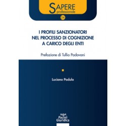 I profili sanzionatori nel processo di cognizione a carico degli enti