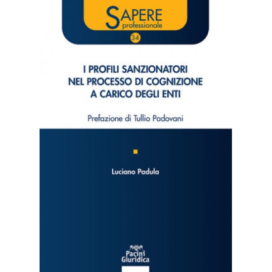 I profili sanzionatori nel processo di cognizione a carico degli enti