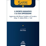 Il decreto ingiuntivo e la sua opposizione