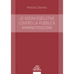 Le azioni esecutive contro la pubblica amministrazione