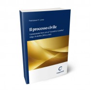 Il processo civile