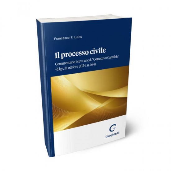 Il processo civile