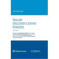 Manuale dell'esecuzione forzata