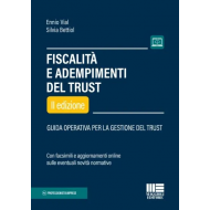 Fiscalità e adempimenti del trust