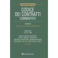 Codice dei contratti commentato