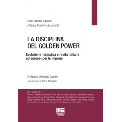 La disciplina del Golden Power