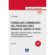 Formulario commentato del processo civile innanzi al giudice di pace