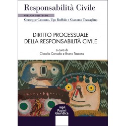 Diritto processuale della responsabilità civile
