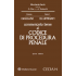 Commentario breve al codice di procedura penale