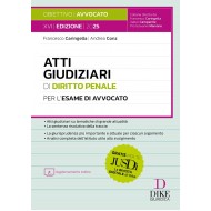 Atti Giudiziari di Diritto Penale DIKE 2025
