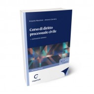 Corso di diritto processuale civile (Mandriolino) - Vol. I