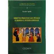 Diritto processuale penale europeo e internazionale