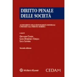 Diritto penale delle società