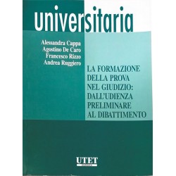 La formazione della prova nel giudizio: dall'udienza preliminare al dibattimento