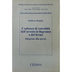 L'udienza di convalida dell'arresto in flagranza o del fermo