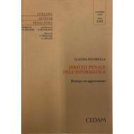 Diritto penale dell'informatica