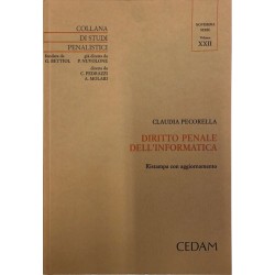 Diritto penale dell'informatica
